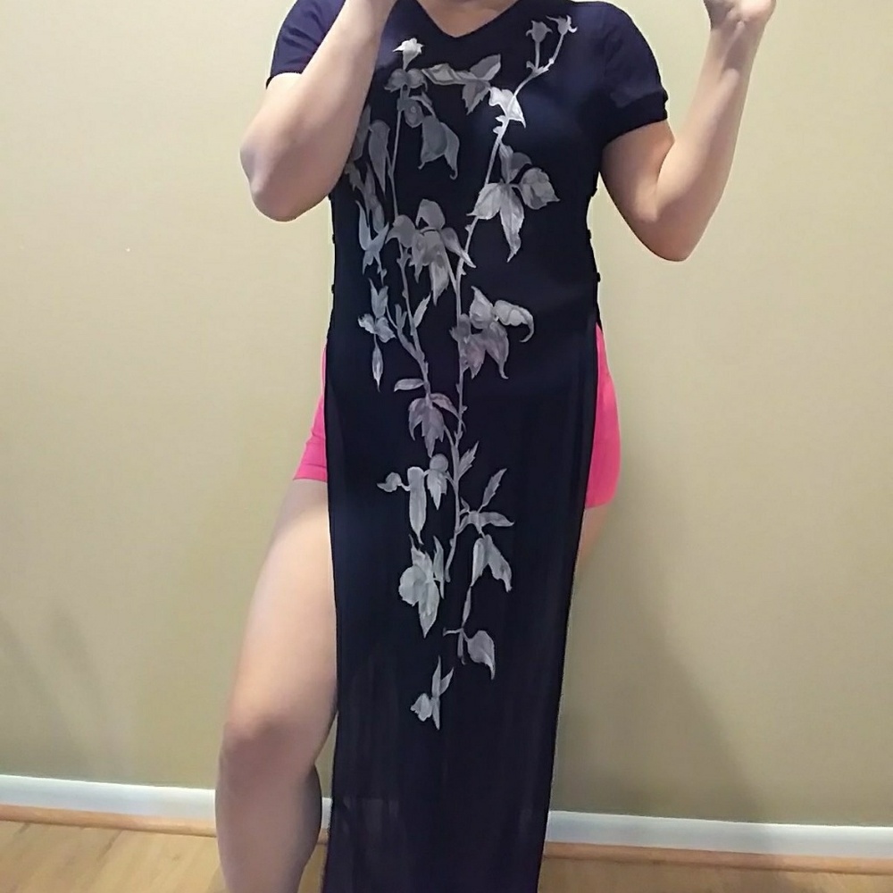 DressBarn Sheer Maxi Top